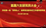 直属六支部召开学校第一批“双带头人”教师党支部书记工作室年度考核会